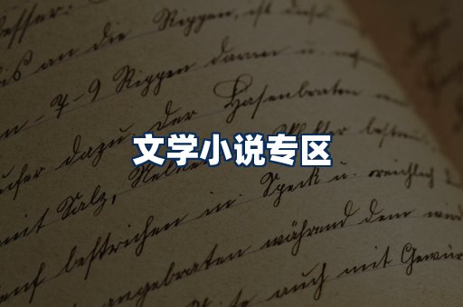 文学小说PDF展示